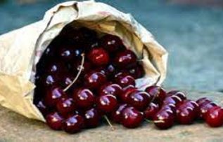 Rüyada Kiraz Ağacı Görmek