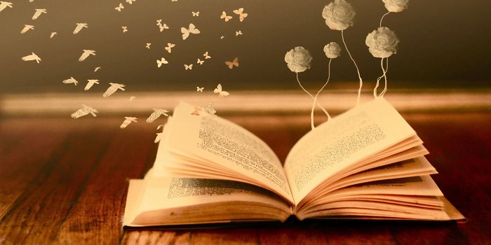 Rüyada Kitaplık Görmek