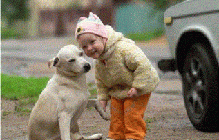 Rüyada Köpeğe Ekmek Vermek