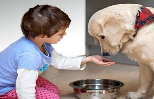 Rüyada Köpek Beslemek