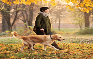 Rüyada Köpek Gezdirmek