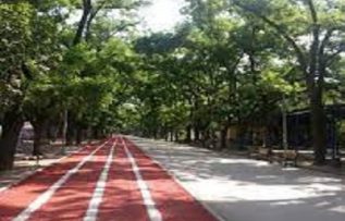 Rüyada Koşu Alanı Görmek