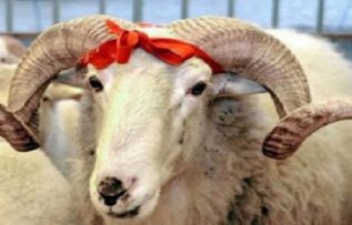 Rüyada Kurban Kesmek