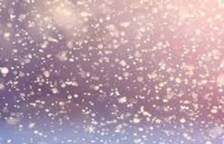 Rüyada Köpek Pisliği Görmek