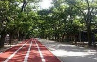 Rüyada Koşu Alanı Görmek