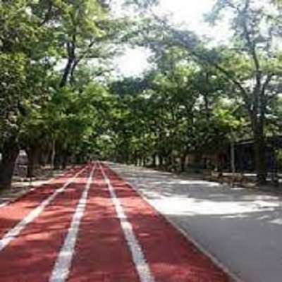 Rüyada Koşu Alanı Görmek