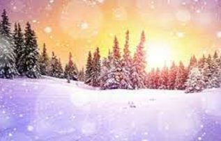 Rüyada Lapa Görmek