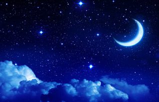 Rüyada Lapina Görmek