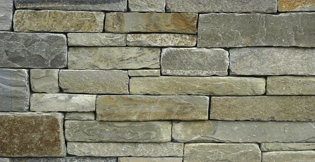 Rüyada Maça Beyi Görmek