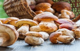 Rüyada Mantar Yemek