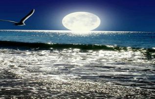 Rüyada Manzara Görmek