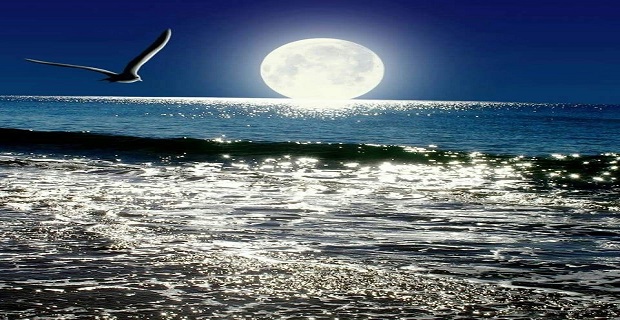 Rüyada Manzara Görmek