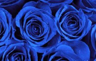 Rüyada Mavi Gül Görmek