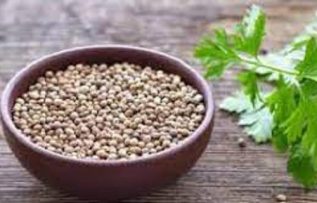 Rüyada Maydanoz Tohumu Görmek