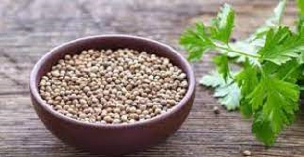 Rüyada Maydanoz Tohumu Görmek