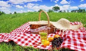 Rüyada Mesire Yeri Görmek