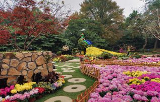 Rüyada Meyve Bahçesi Görmek