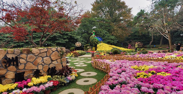 Rüyada Meyve Bahçesi Görmek