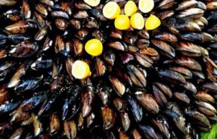 Rüyada Midye Görmek