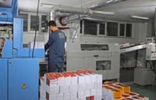 Rüyada Mücellit Görmek