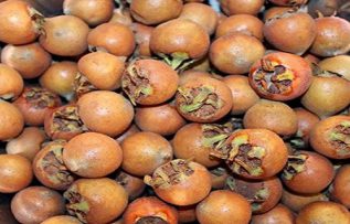 Rüyada Muşmula Görmek