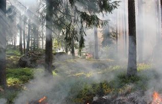 Rüyada Orman Yangını Görmek