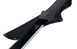 Rüyada Pala Görmek