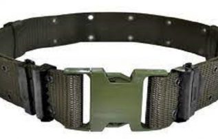 Rüyada Palaska Görmek