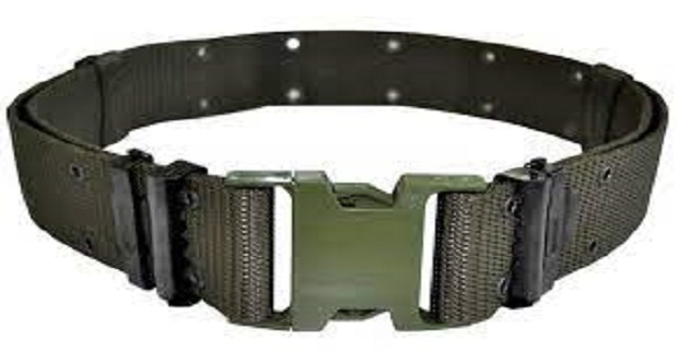 Rüyada Palaska Görmek