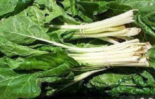 Rüyada Pazı Görmek