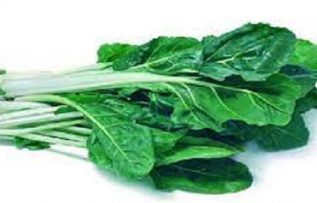 Rüyada Pazı Otu Görmek