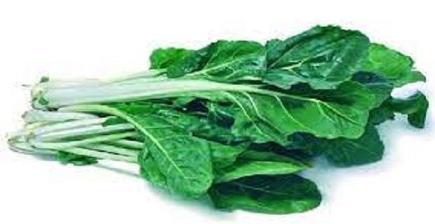 Rüyada Pazı Otu Görmek