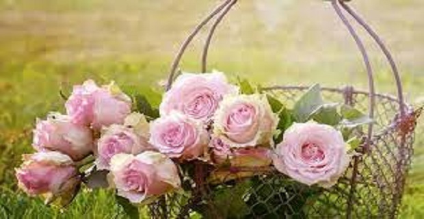 Rüyada Pembe Gül Görmek