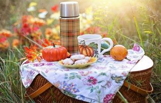 Rüyada Piknik Görmek