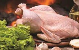 Rüyada Piliç Görmek