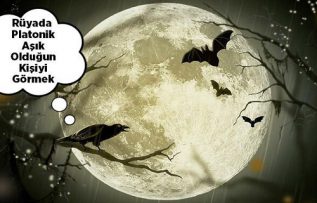 Rüyada Platonik Aşık Olduğun Kişiyi Görmek