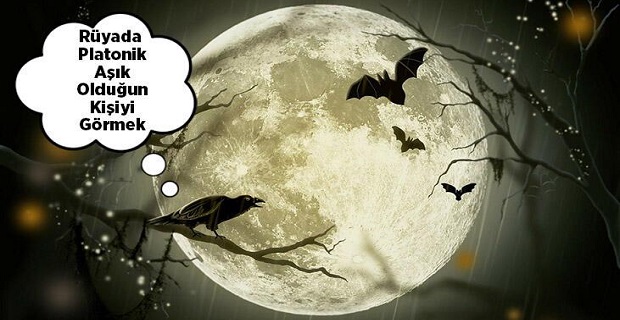 Rüyada Platonik Aşık Olduğun Kişiyi Görmek