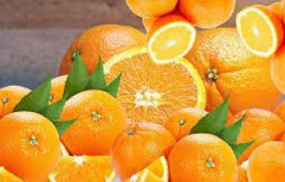 Rüyada Portakal Ağacı Görmek