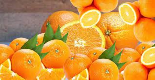 Rüyada Portakal Ağacı Görmek