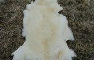 Rüyada Post Görmek