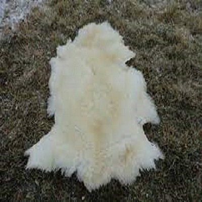 Rüyada Post Görmek