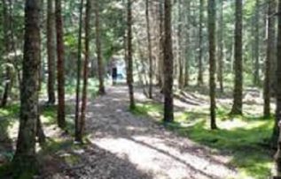 Rüyada Tenha Bir Yer Görmek