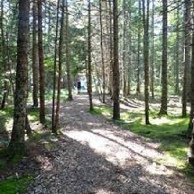 Rüyada Tenha Bir Yer Görmek