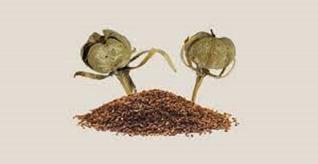 Rüyada Üzerlik Çiçeği Görmek