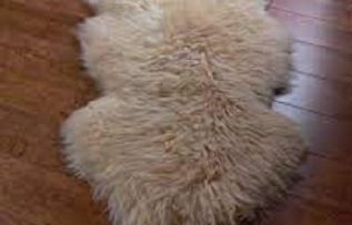 Rüyada Posteki Görmek