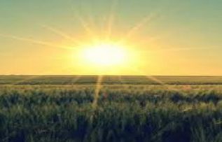 Rüyada Sabah Görmek