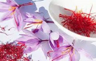 Rüyada Safran çiçeği Görmek