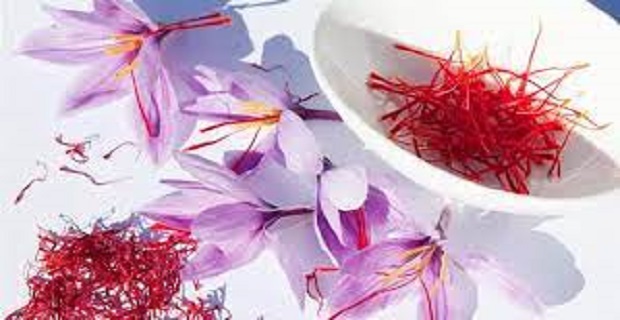 Rüyada Safran çiçeği Görmek