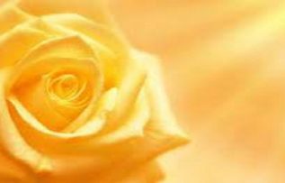 Rüyada Sarı Renk Görmek