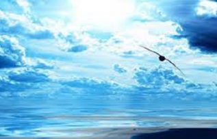 Rüyada Sema Görmek